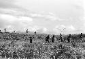 Karl Heider negatives, New Guinea; the two armies