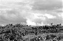 Karl Heider negatives, New Guinea; Fighting on Warabara