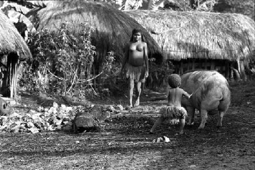 Hagigake charges pig with stick, Wetekma looks on