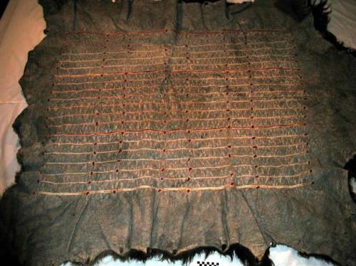 Bison robe. Decorated w/ vertical rows of quillwork, pieces of red cloth