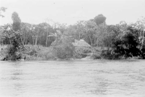 Views of Rio Napo