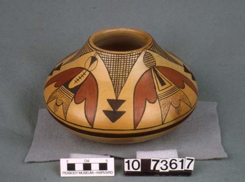 Polychrome-on-buff jar: moth motif