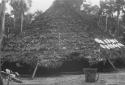 Community houses -- side walls of bark cloth