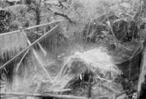 Shredding and drying of vegetable fiber used for hammocks.