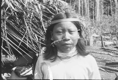 Secoya man -- note fillet of bark strip on head; custom of wearing sprig of grass thru perforated nasal septum; necklace of imported China beads.