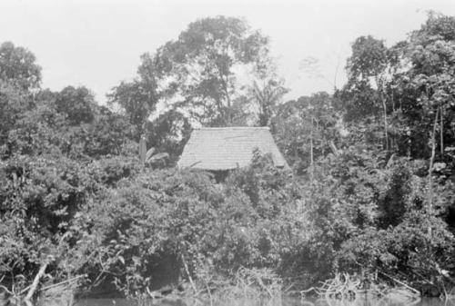 Native house -- not typical of koto culture