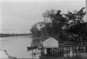 Views of Amazon River