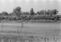 Views of countryside along Rio Yaqui