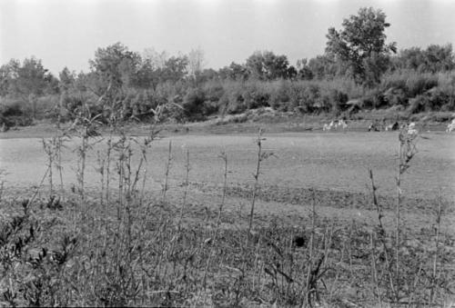 Views of countryside along Rio Yaqui