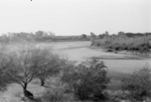 View of Yaqui River at Torin