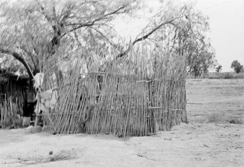 Exterior of bamboo house