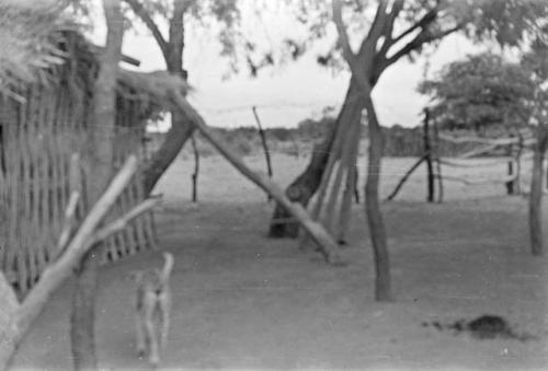 Views of a Yaqui compound