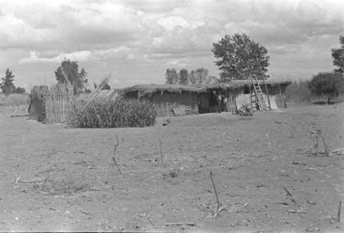 Views of a Yaqui compound