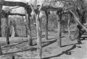 Roof beams and supports under construction