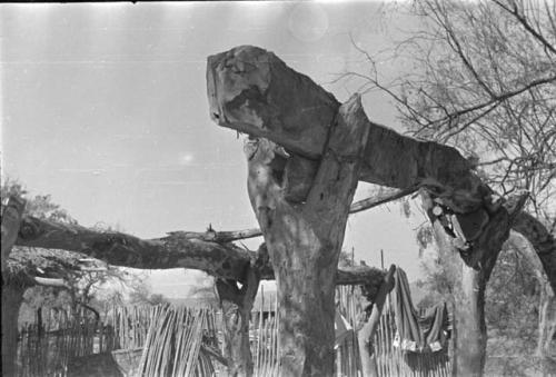 Roof beams and supports under construction