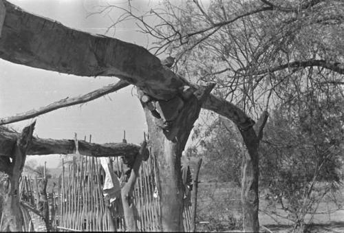 Roof beams and supports under construction