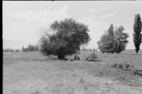 Tooele camp -- office camp