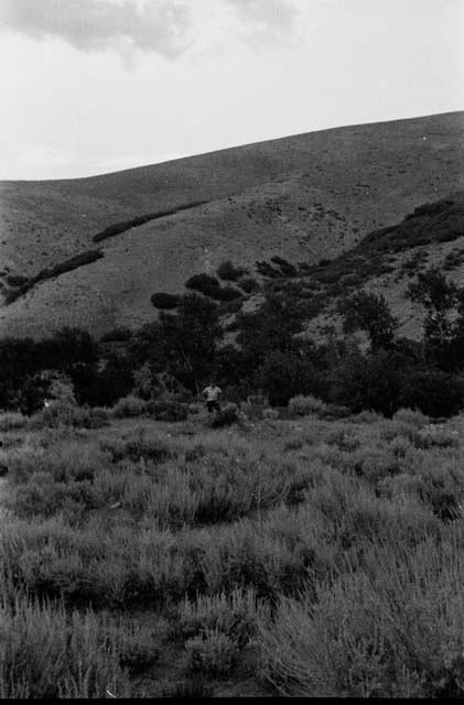 Long view of site IV from SW