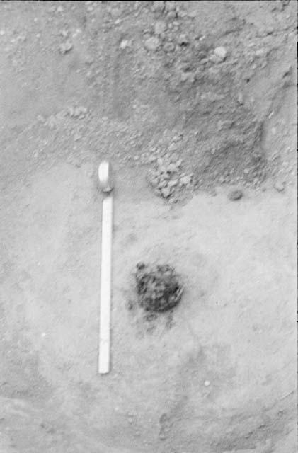 Comparative measurement for unidentified object in Marysvale Site II