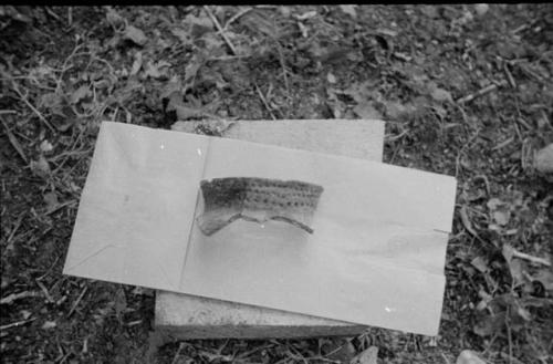 Unidentified sherd (upper rim piece?) displaying dot pattern from Marysvale excavation Site 7