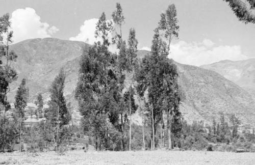 Callejón de Huaylas near Recuay