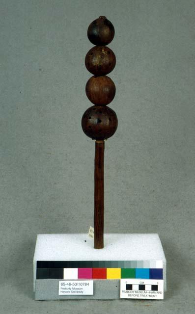 Seed pod rattle