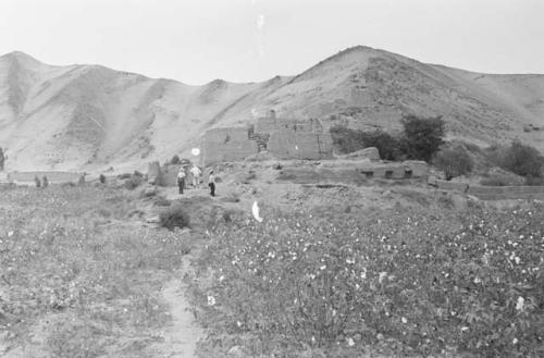 Native house at Chilca