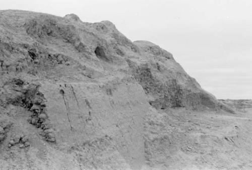 The huaca, Sojo