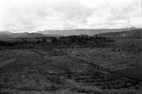 Karl Heider negatives, New Guinea