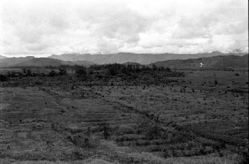 Karl Heider negatives, New Guinea