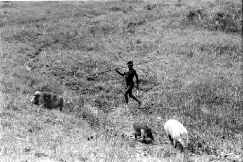 Karl Heider negatives, New Guinea