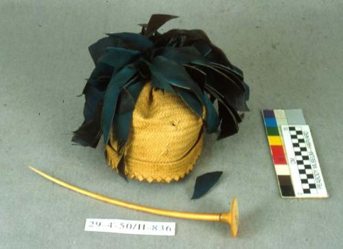 Man's hat with ivory hairpin and feathers