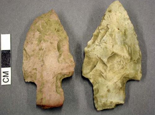 Chipped stone, projectile points, stemmed, chert