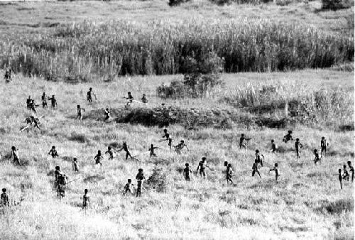 Karl Heider negatives, New Guinea