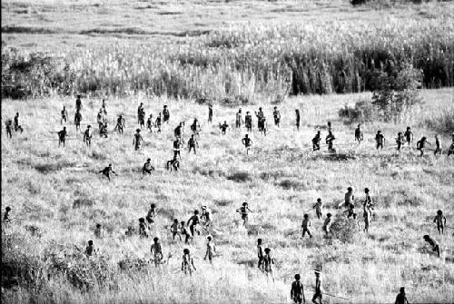 Karl Heider negatives, New Guinea