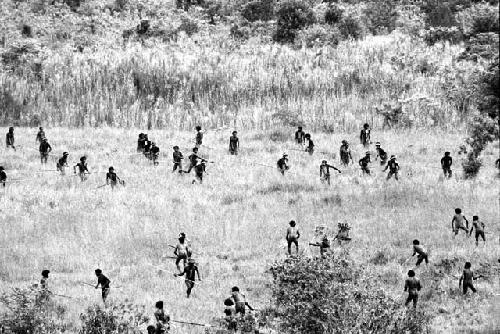 Karl Heider negatives, New Guinea