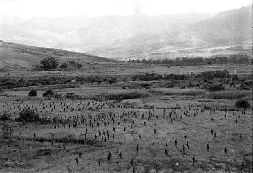 Karl Heider negatives, New Guinea