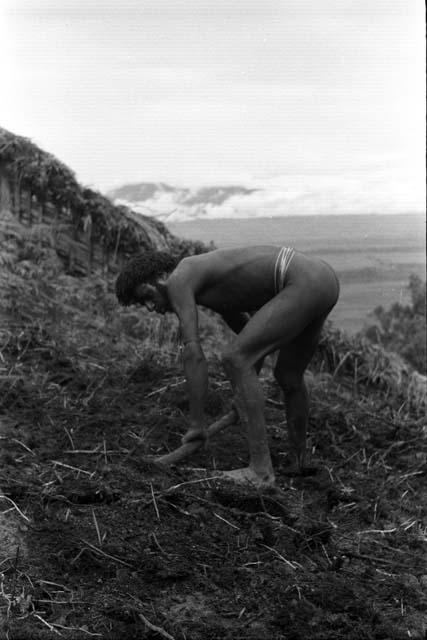 Apusa working with a digging stick