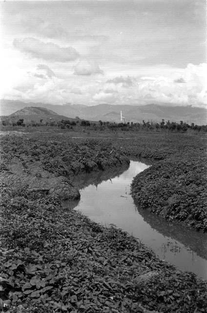 Distant view of the Siobara; irrigation ditch in frgd; wide angle lens