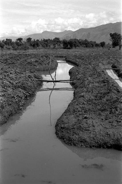 View of garden ditches