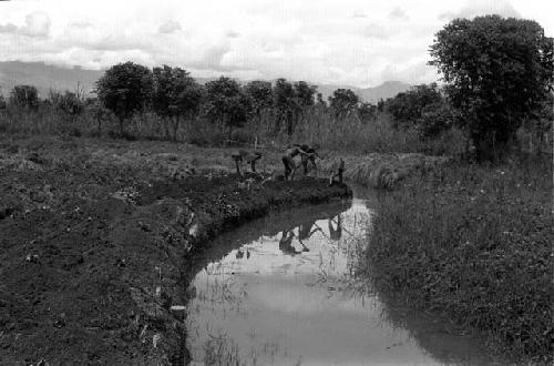 Karl Heider negatives, New Guinea