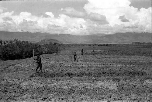 Men working in gardens