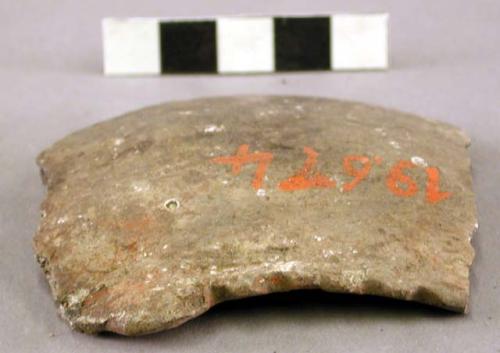 Ceramic rim sherd, notched rim, shell temper