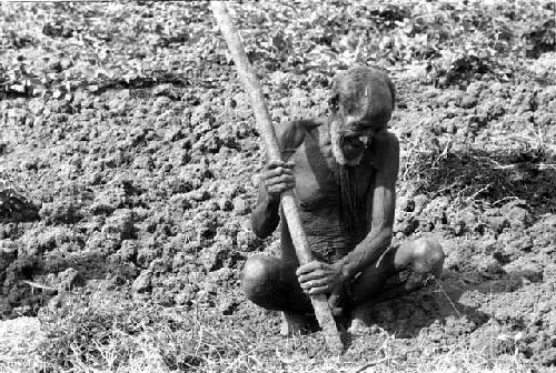 Old man gardening