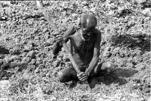 Old man gardening