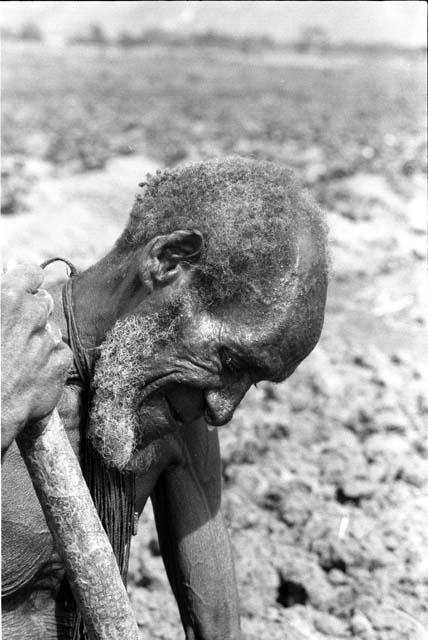 Old man gardening