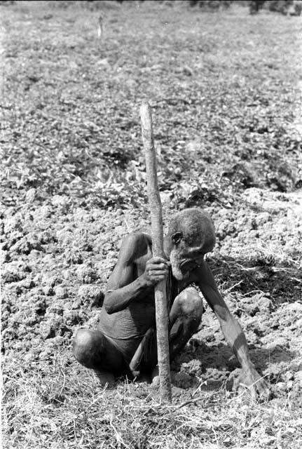 Old man gardening