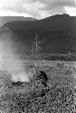 Man working in field