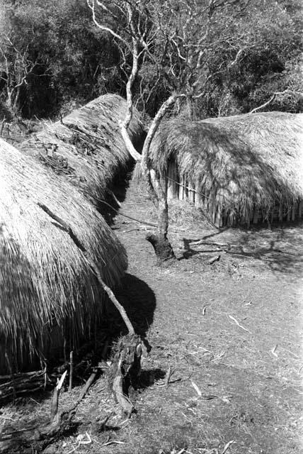 View of some sili