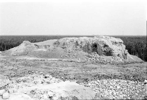 Construction detail of wall at Site 2